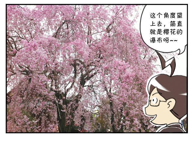 170 上野花见会-第170话