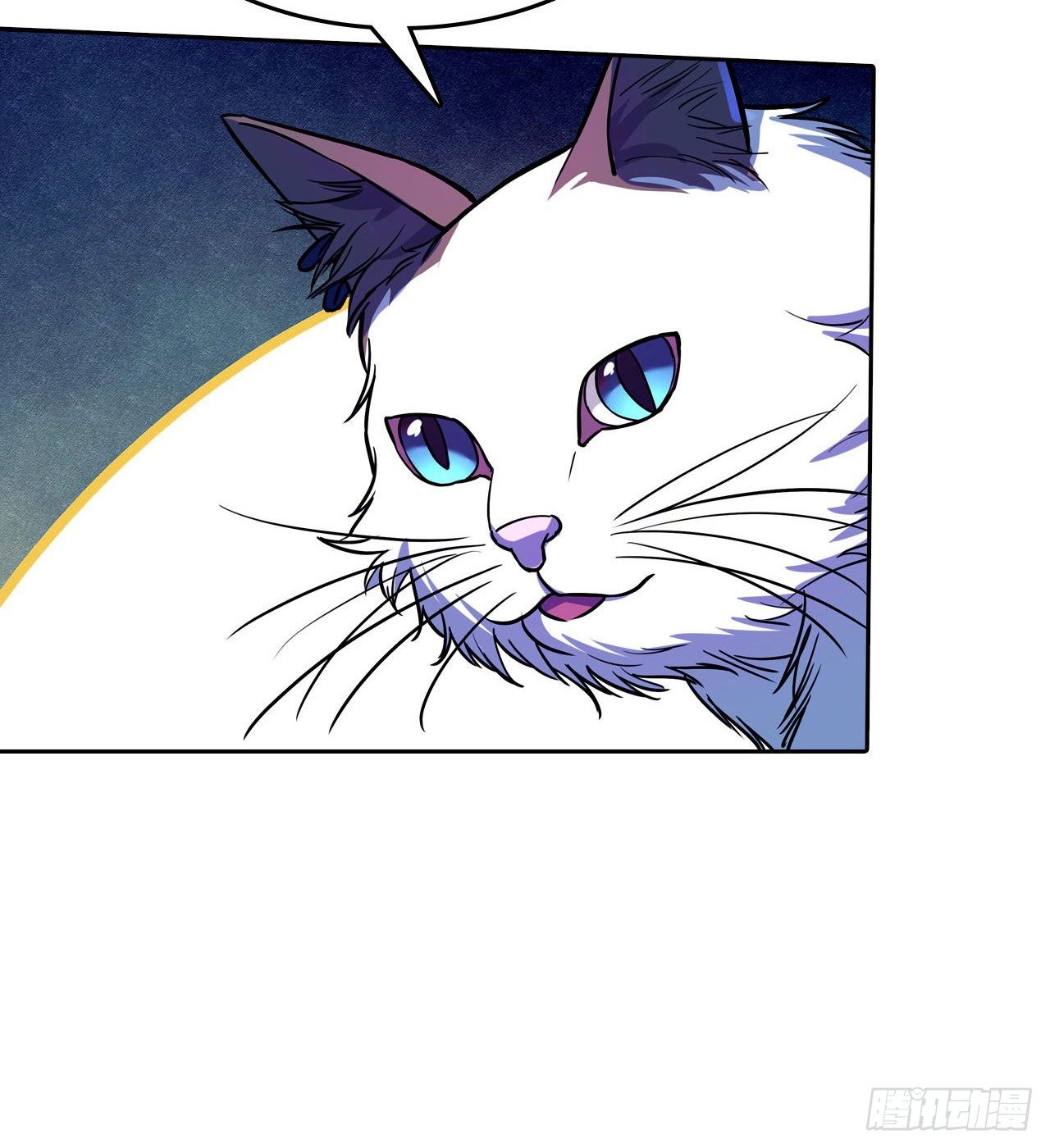 第36话：猫猫VS少女-第40话