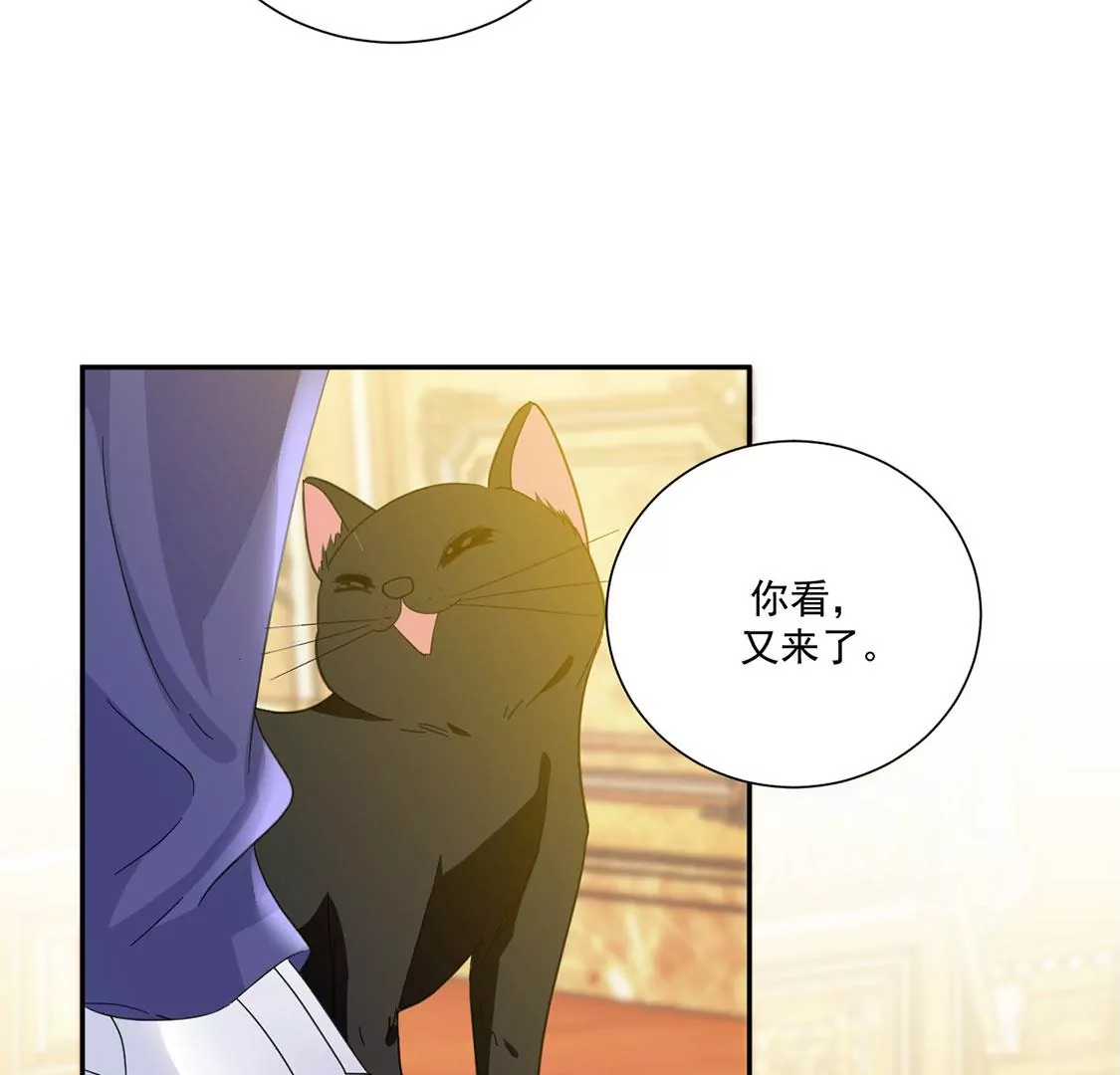 第7话 小狮子(1/2)-第8话