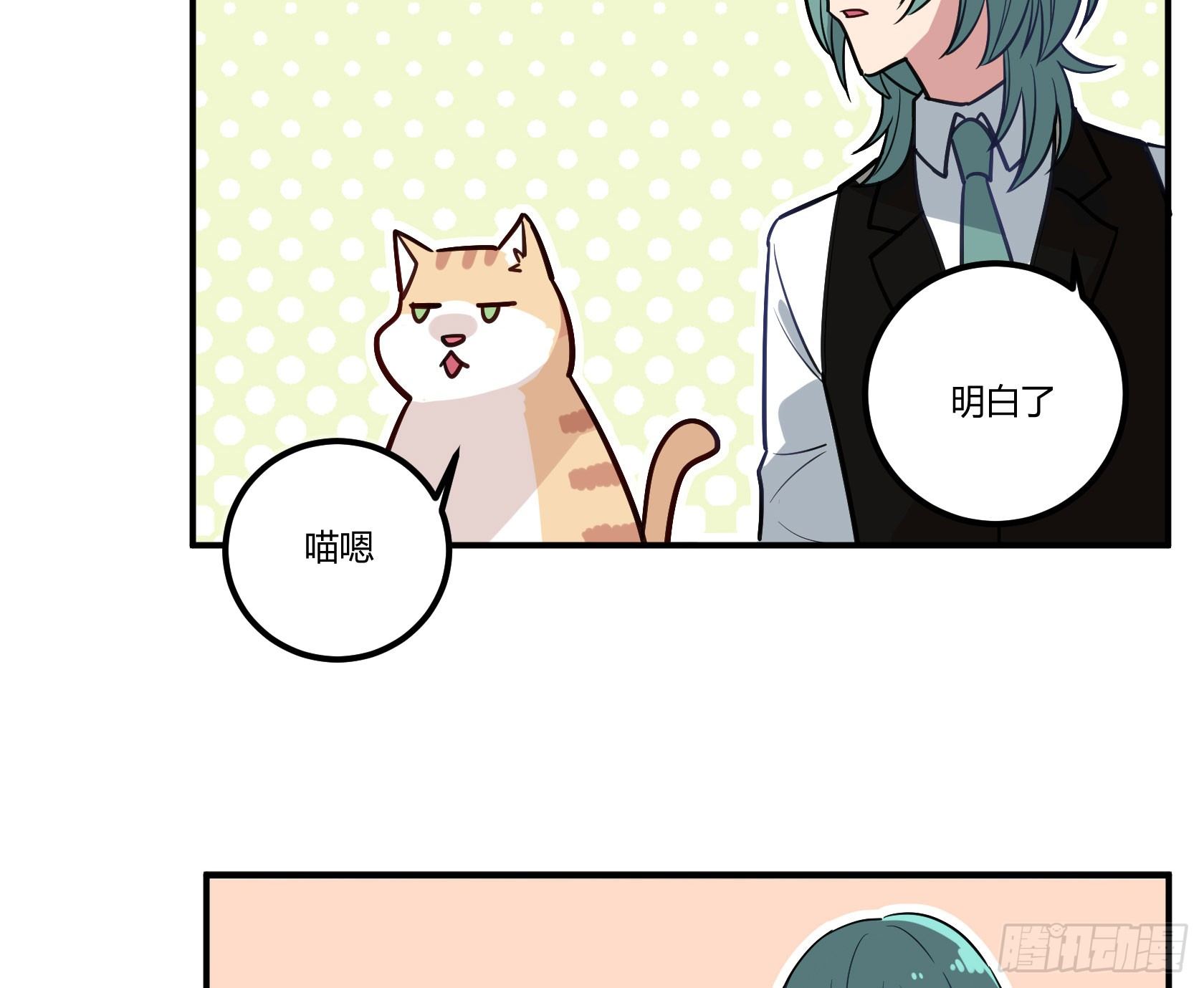 猫猫的报恩(1/2)-第34话