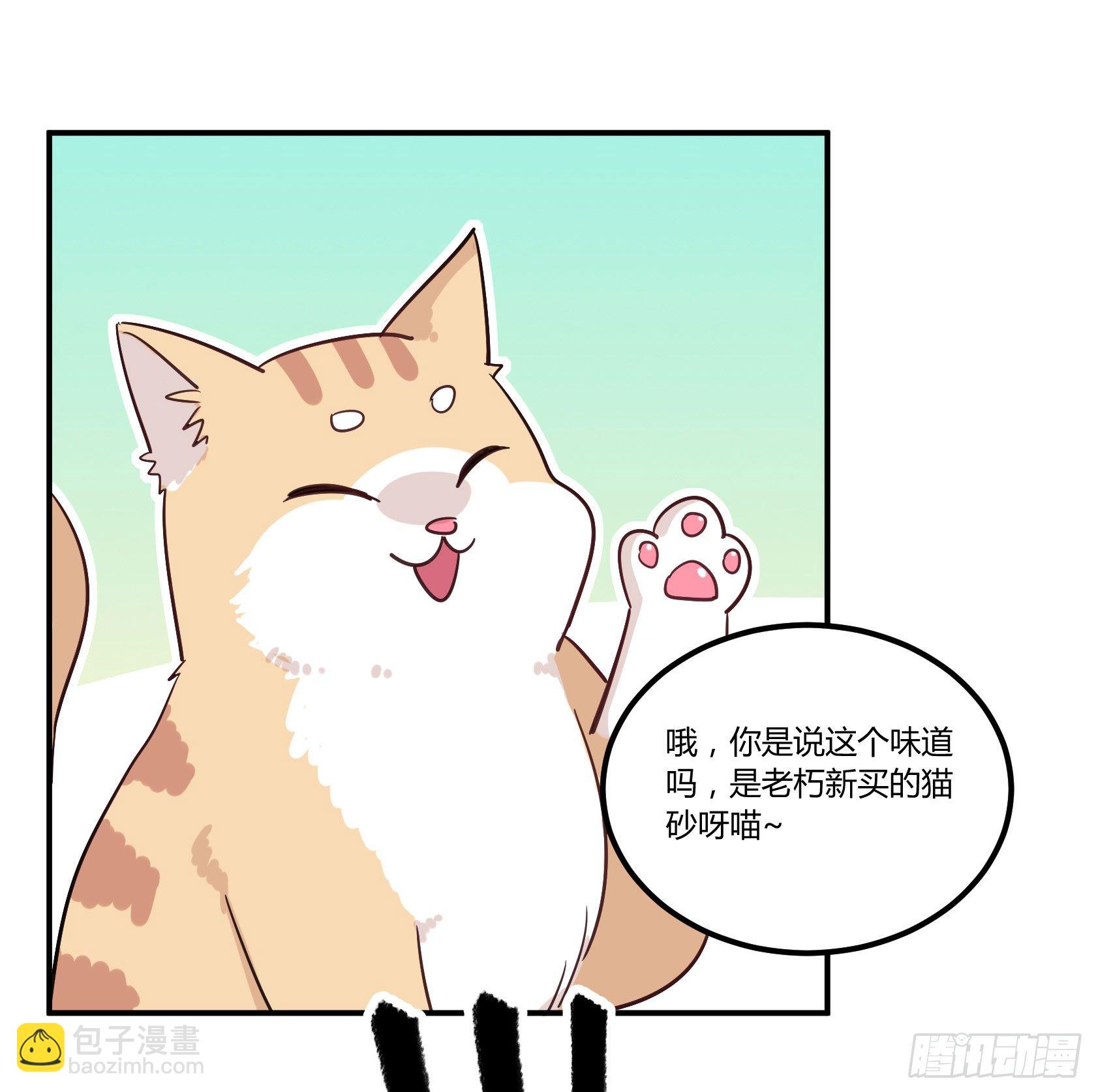 猫猫的报恩(1/2)-第34话