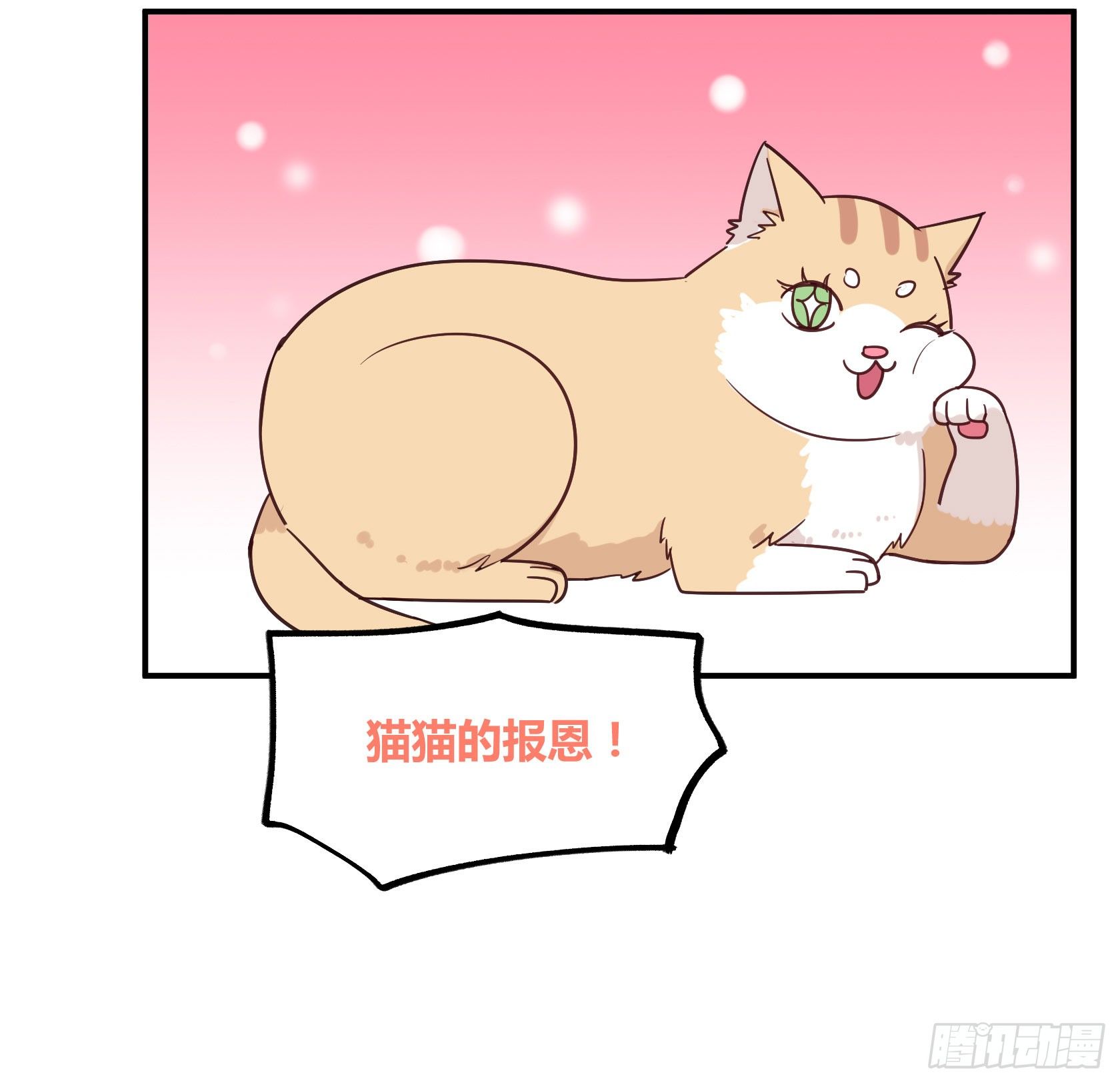 猫猫的报恩(1/2)-第34话
