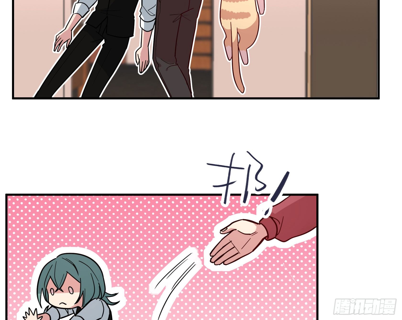 猫猫的报恩(1/2)-第34话