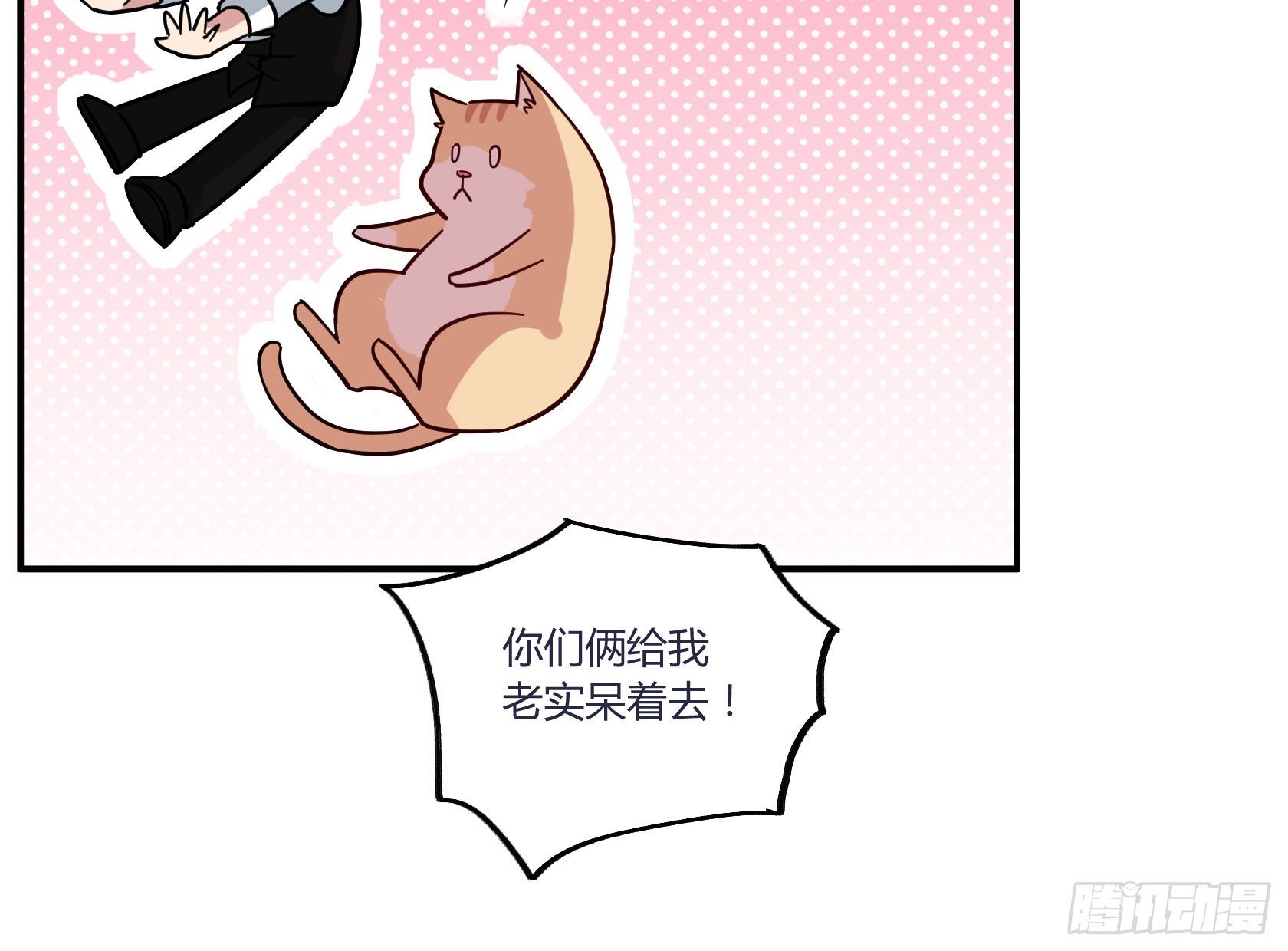 猫猫的报恩(1/2)-第34话