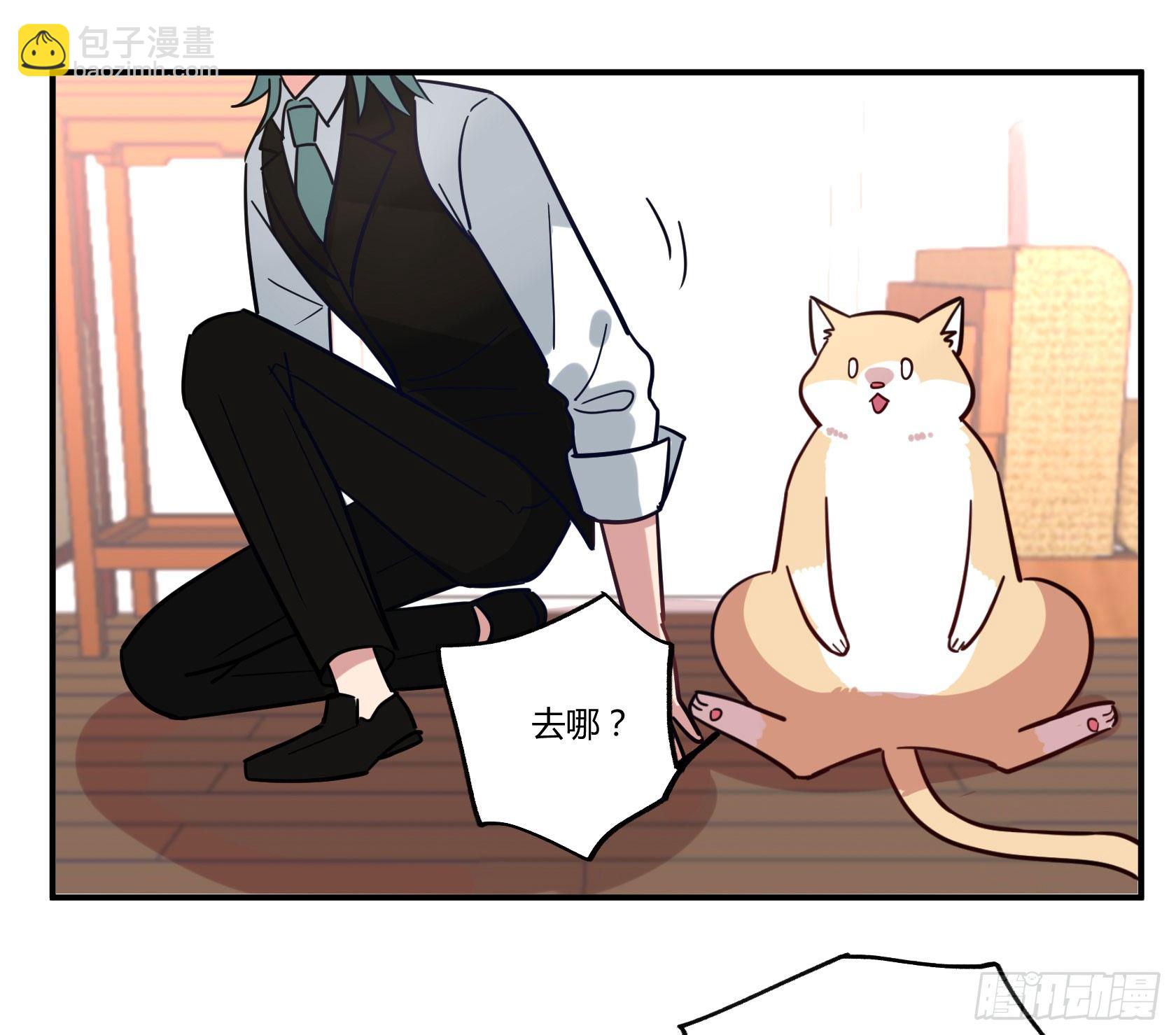 猫猫的报恩(1/2)-第34话