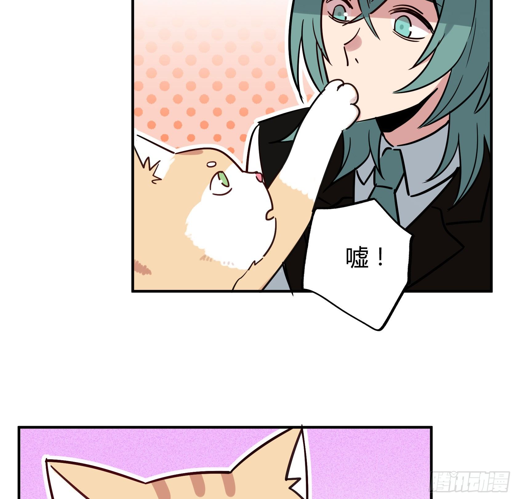 猫猫的报恩(1/2)-第34话