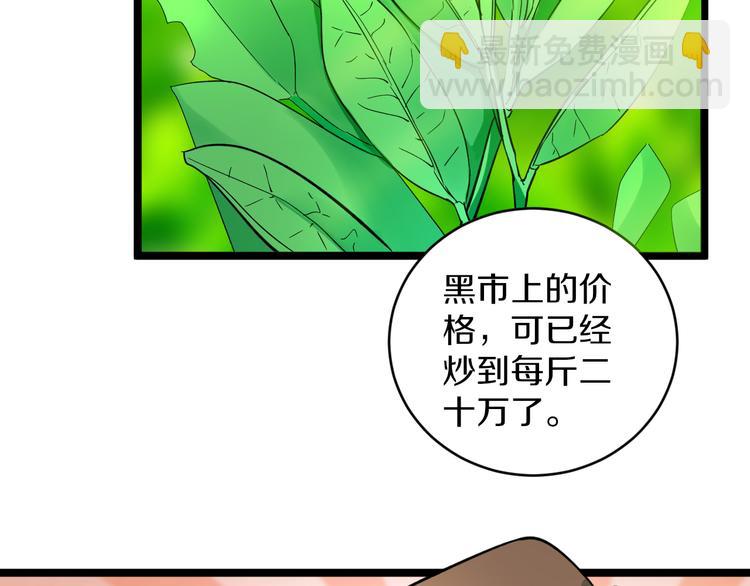 🍱三界淘宝店 第142话 极品铁观音 第45页