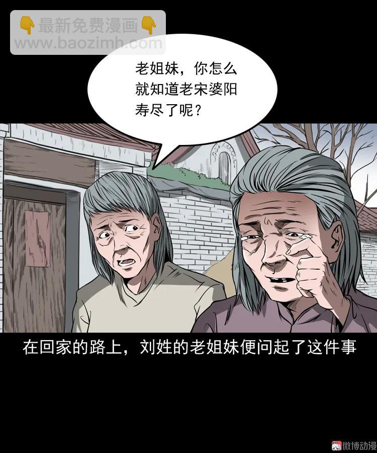 崔家老太太(1/2)-第162话
