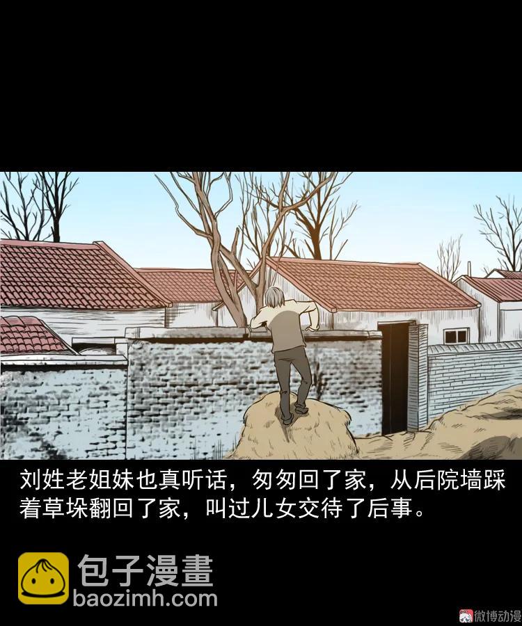 崔家老太太(1/2)-第162话