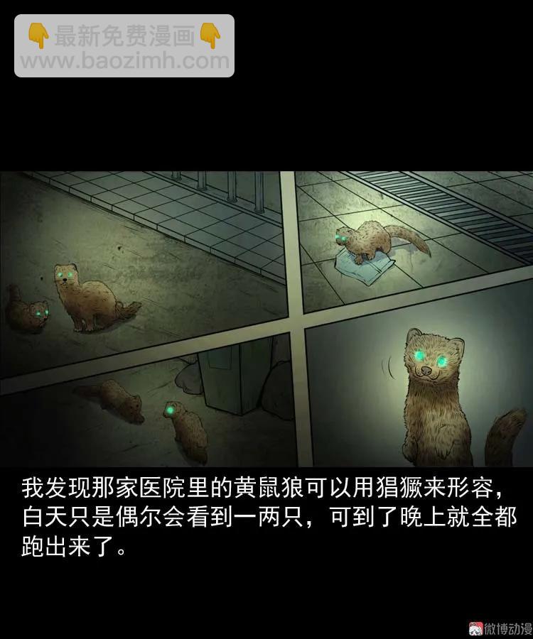 黄皮子医院(1/2)-第168话
