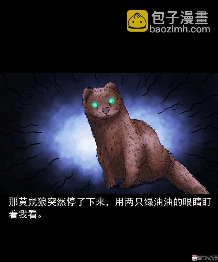 黄皮子医院(1/2)-第168话