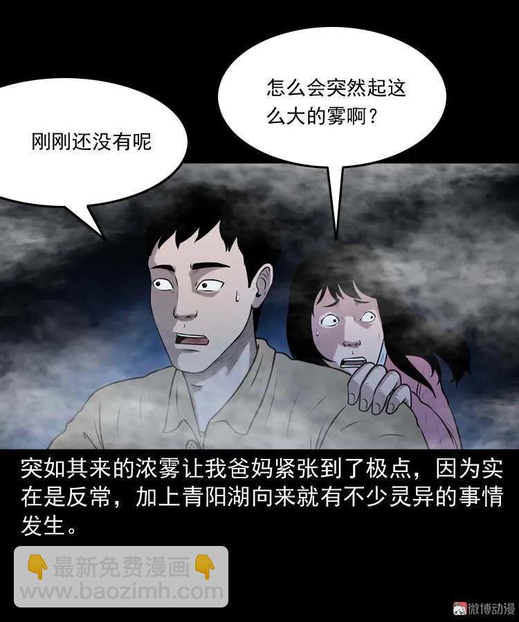 青阳湖诡事(1/2)-第190话