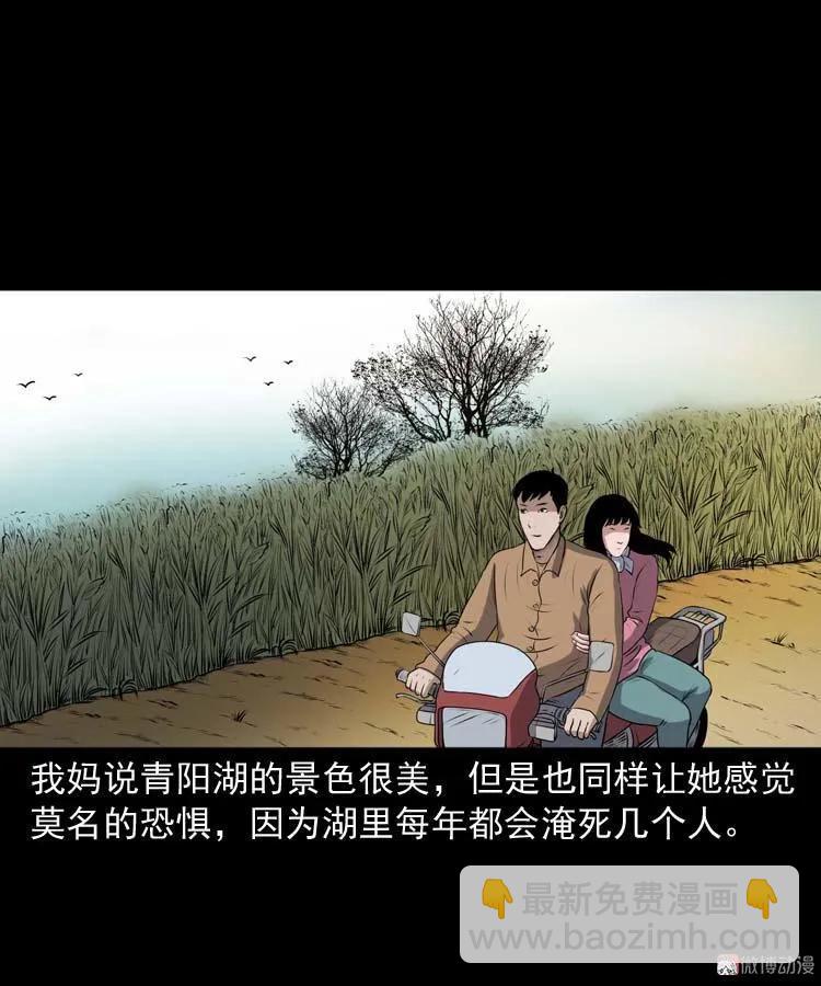 青阳湖诡事(1/2)-第190话