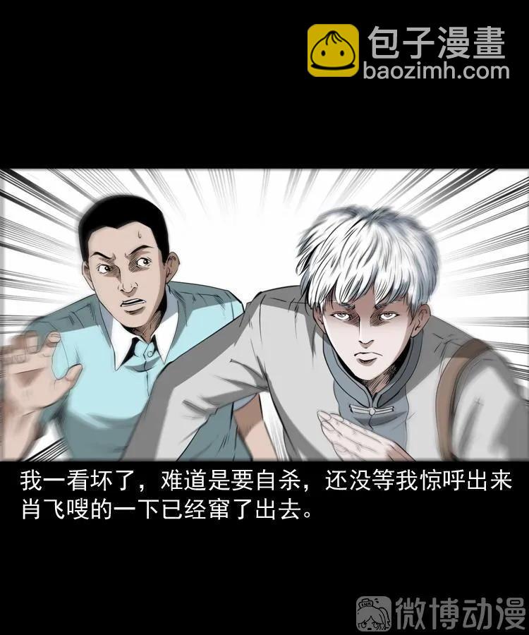 白头翁之恶咒(1/2)-第218话