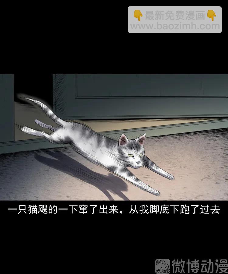 白头翁之猫灵(1/3)-第222话