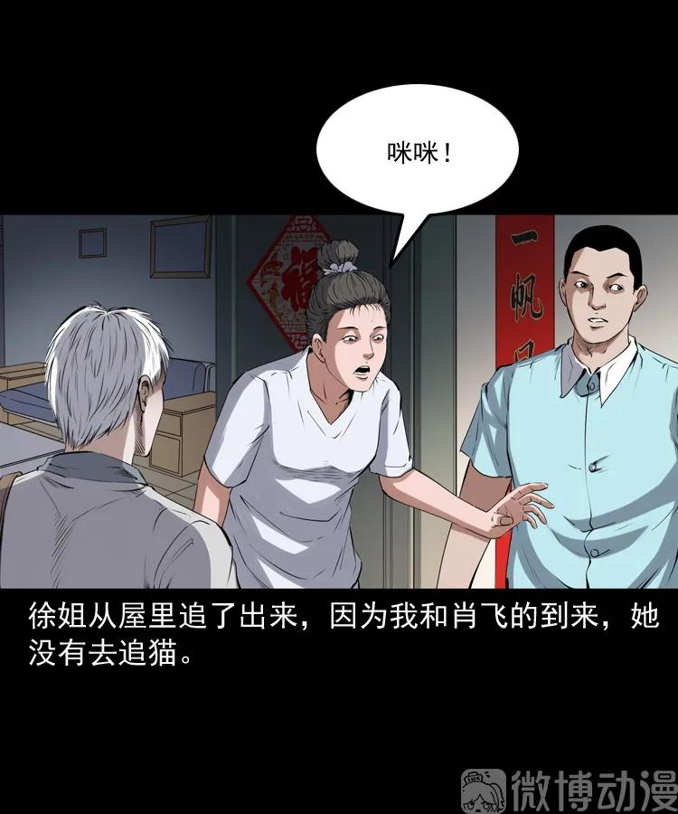 白头翁之猫灵(1/3)-第222话