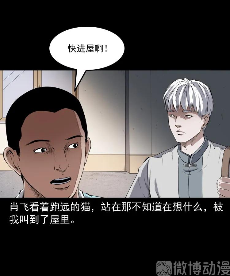 白头翁之猫灵(1/3)-第222话