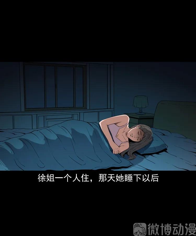 白头翁之猫灵(1/3)-第222话