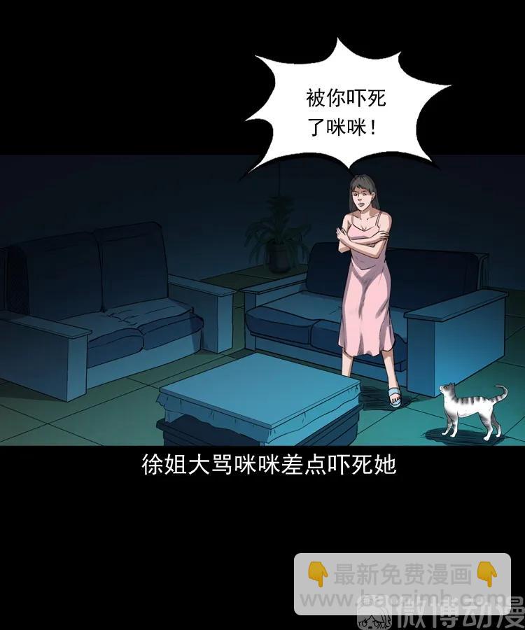 白头翁之猫灵(1/3)-第222话