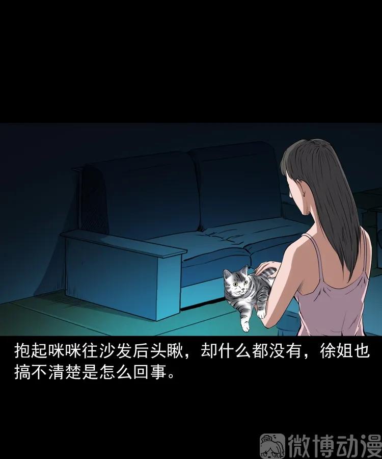 白头翁之猫灵(1/3)-第222话