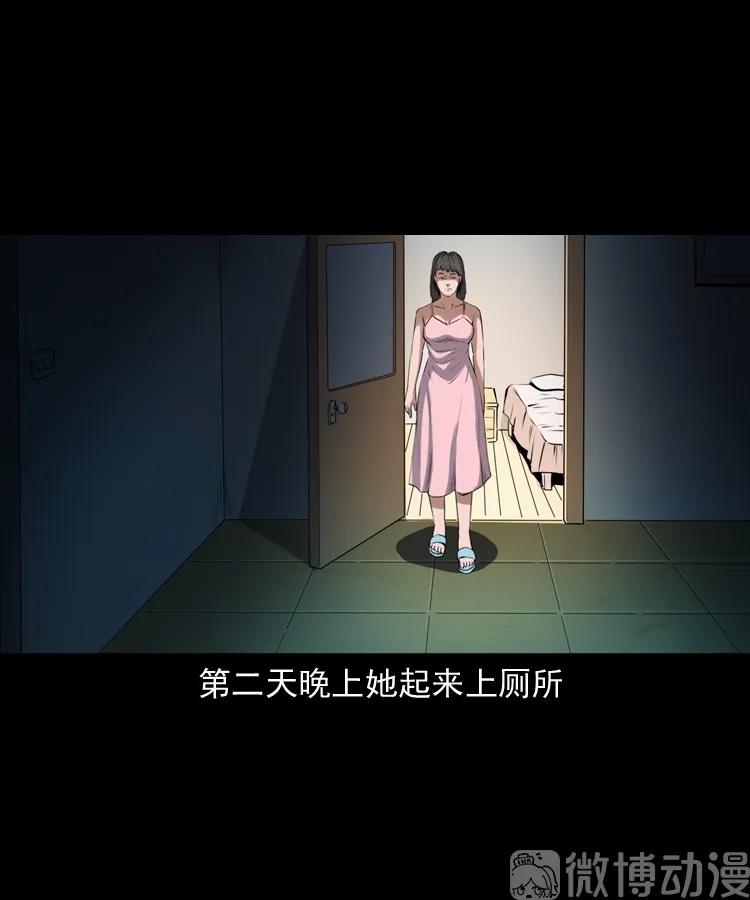 白头翁之猫灵(1/3)-第222话