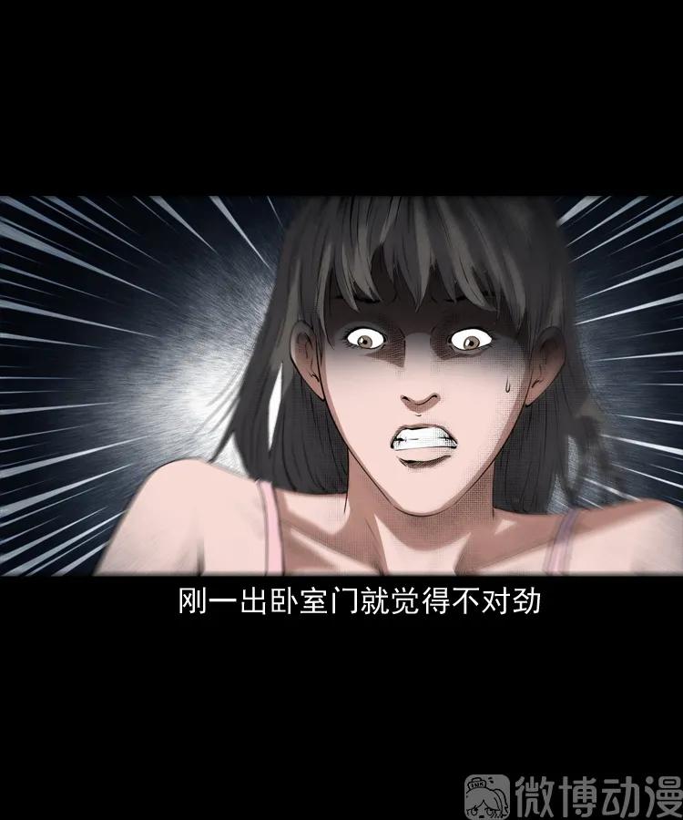 白头翁之猫灵(1/3)-第222话