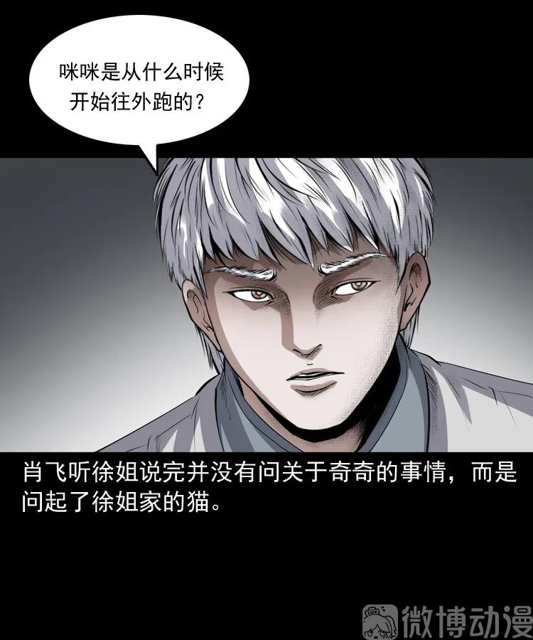 白头翁之猫灵(1/3)-第222话