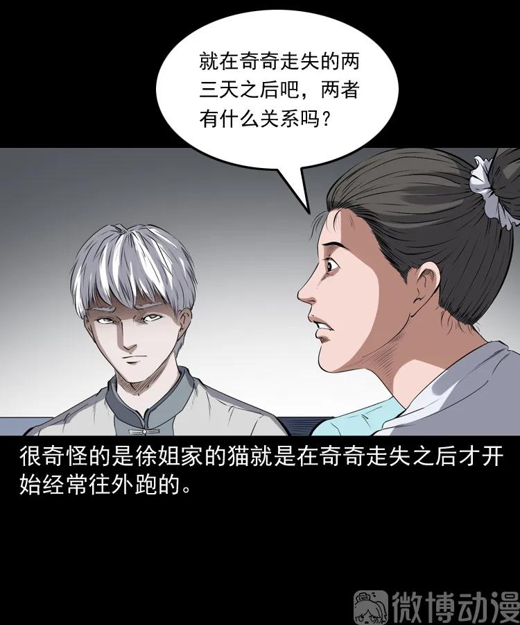 白头翁之猫灵(1/3)-第222话