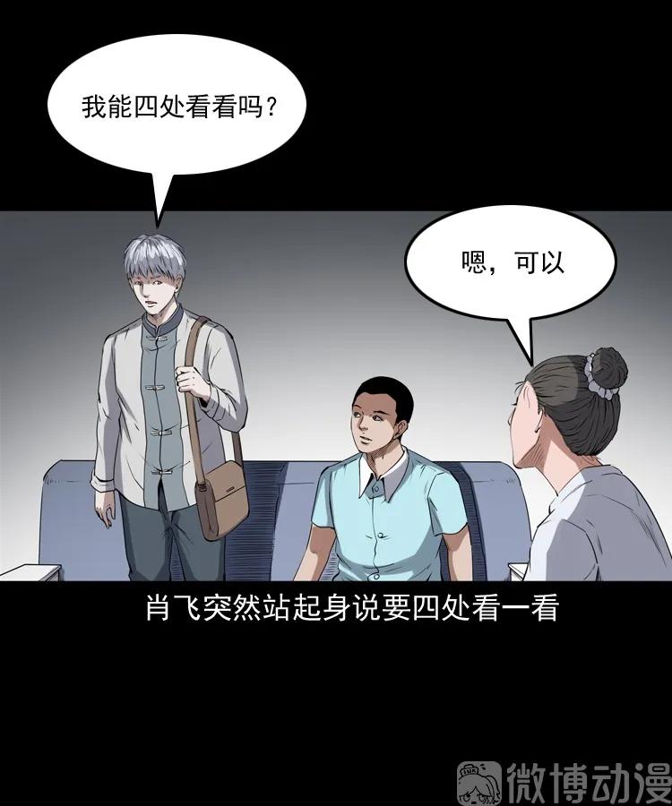 白头翁之猫灵(1/3)-第222话