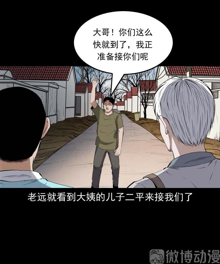 白头翁之压头煞(1/2)-第226话