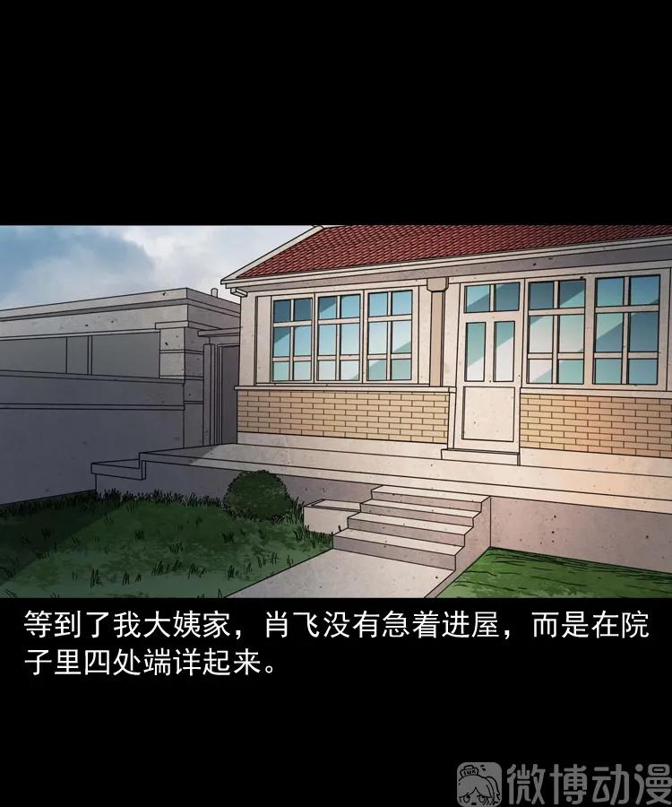 白头翁之压头煞(1/2)-第226话