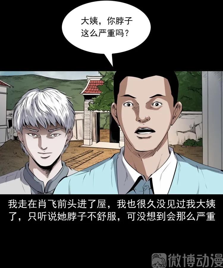 白头翁之压头煞(1/2)-第226话