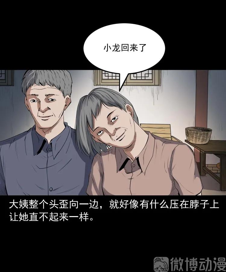 白头翁之压头煞(1/2)-第226话