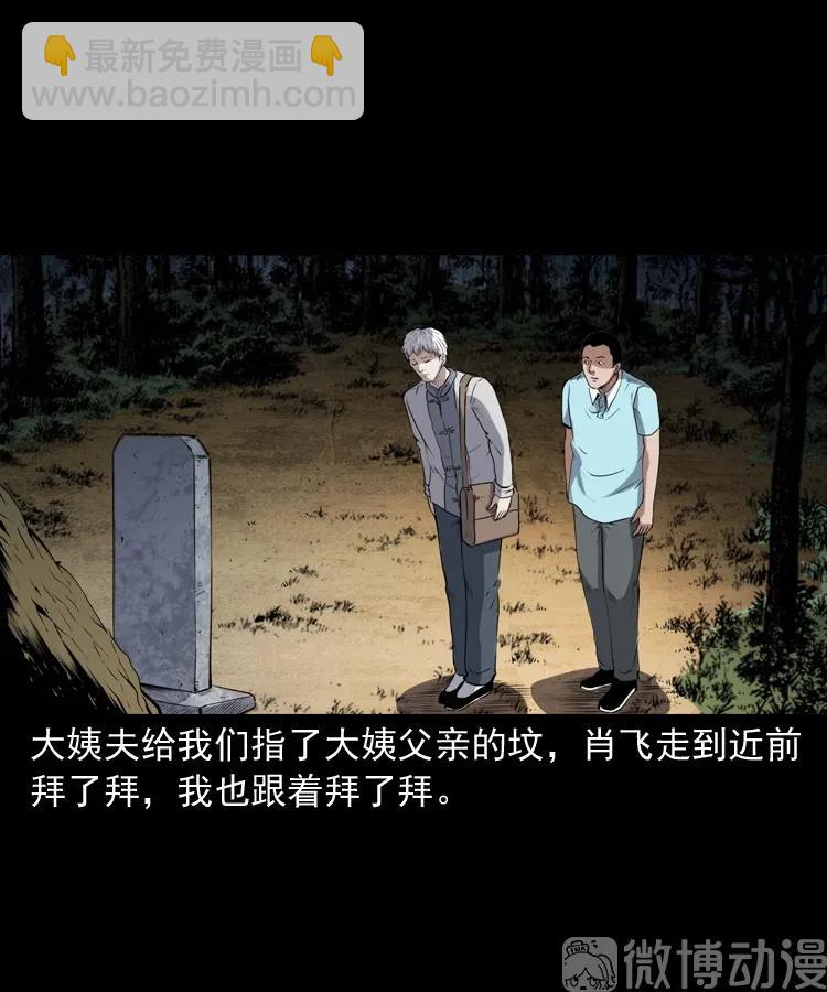 白头翁之压头煞(1/2)-第226话