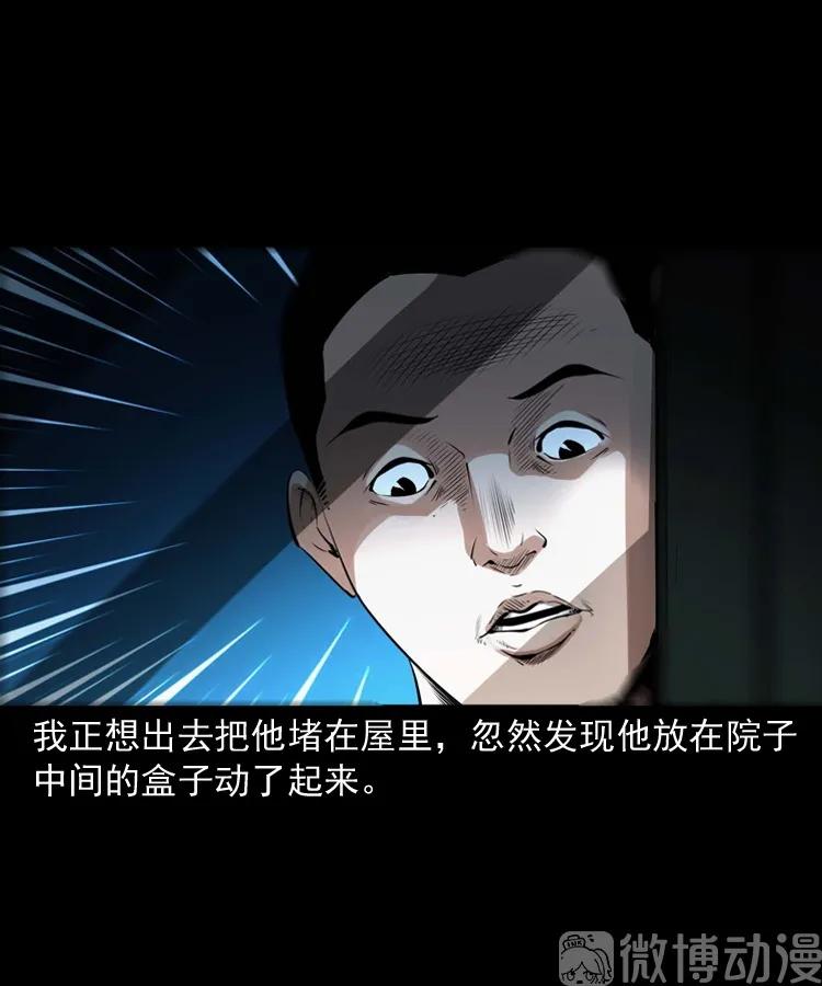 白头翁之诈尸下集(1/3)-第228话
