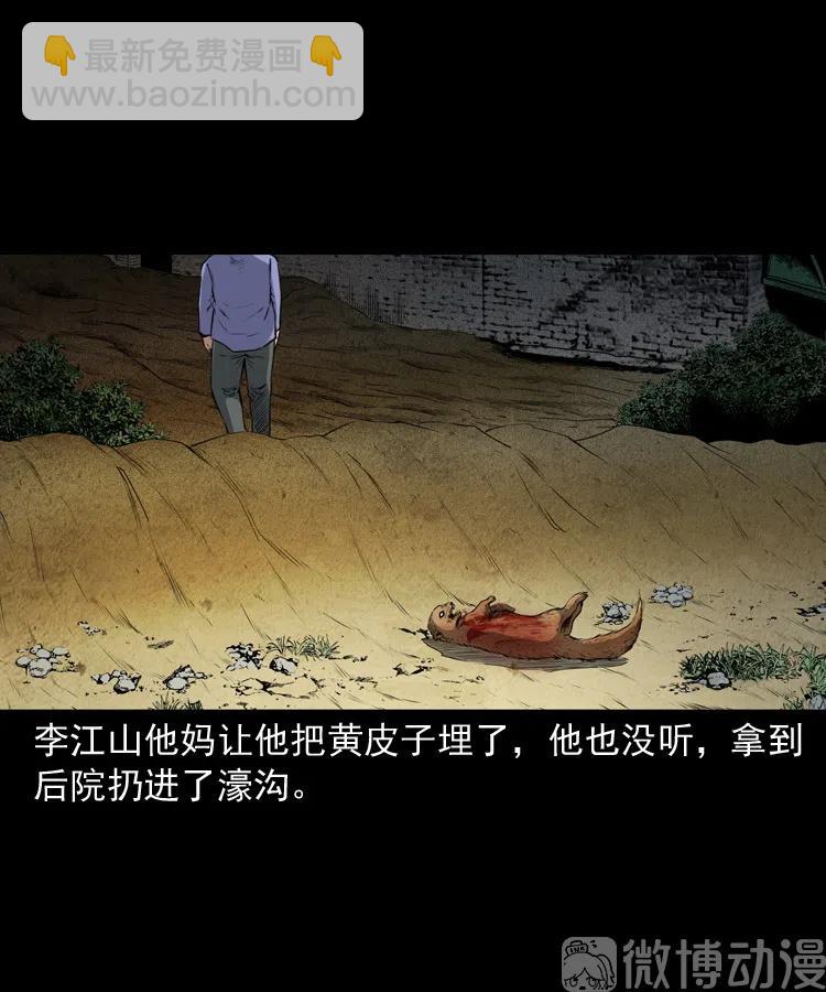 仙家异闻(1/2)-第238话