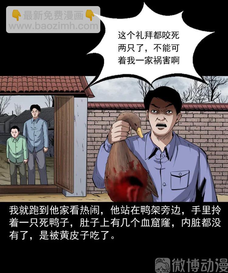 仙家异闻(1/2)-第238话