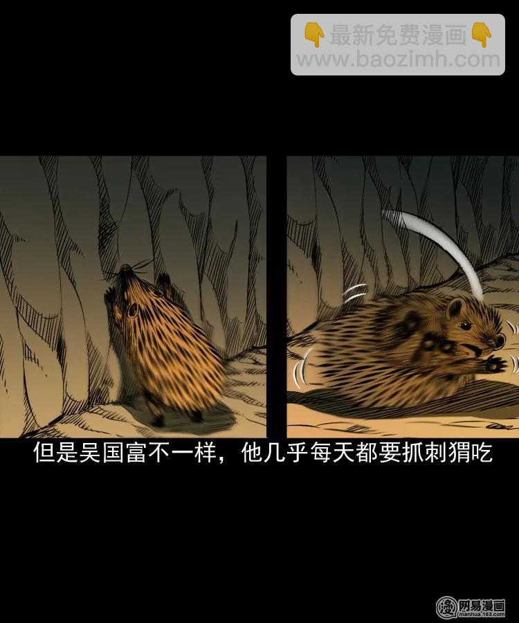 168 刺猬(1/2)-第170话