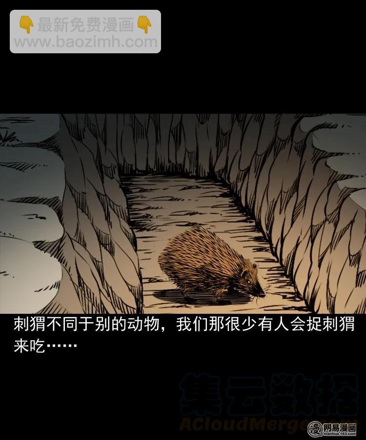 168 刺猬(1/2)-第170话