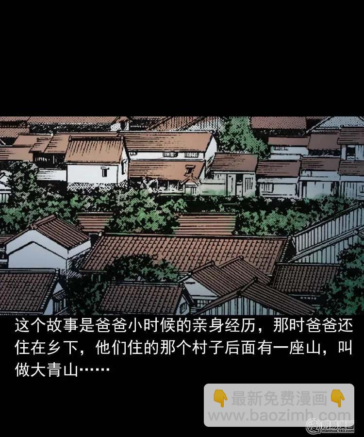 178 发夹(1/2)-第180话