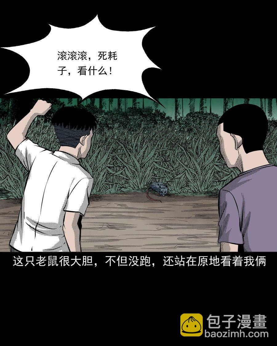 282 老鼠成仙(1/2)-第284话