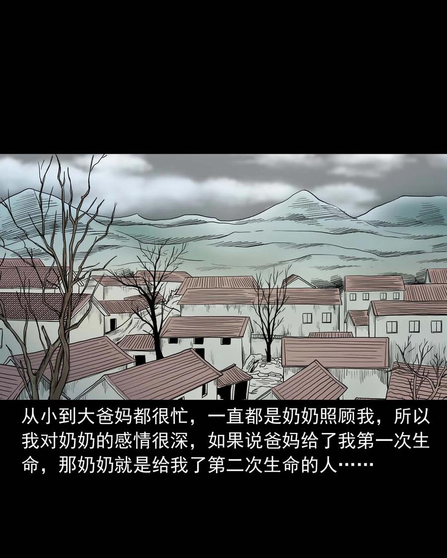 294 我的奶奶(1/2)-第296话