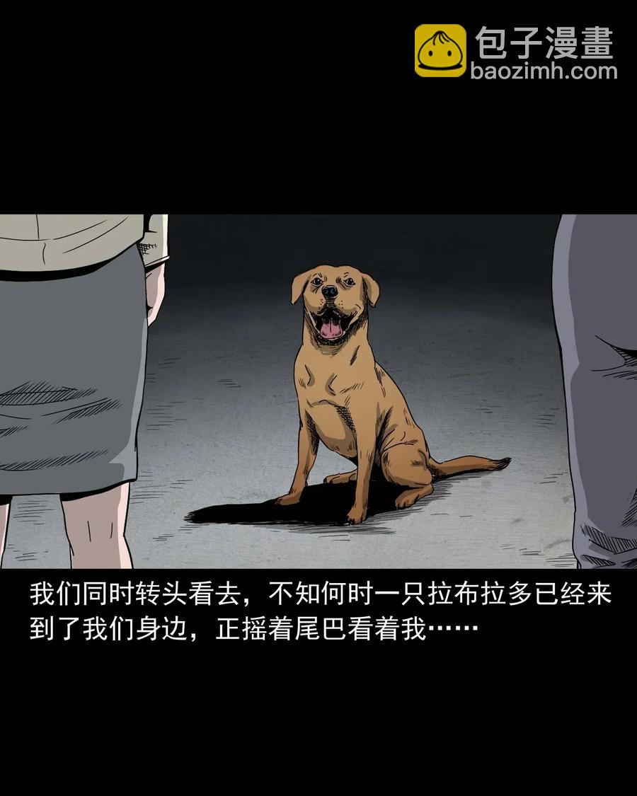 412 找狗人(1/2)-第414话