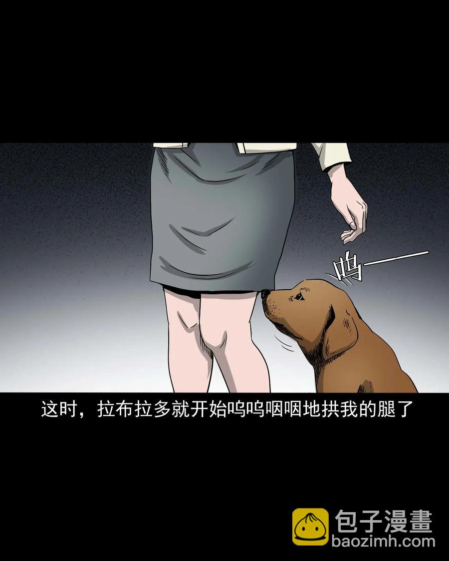 412 找狗人(1/2)-第414话