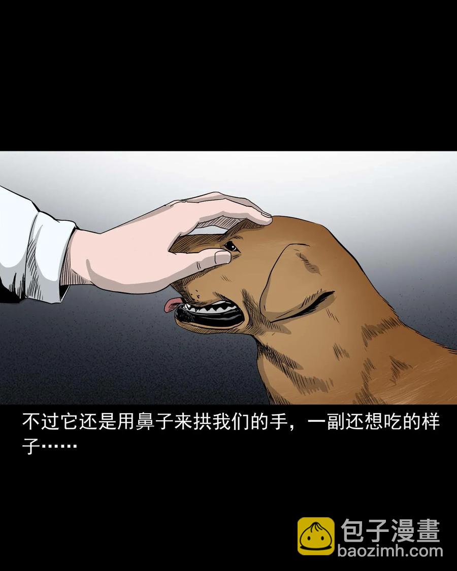 412 找狗人(1/2)-第414话