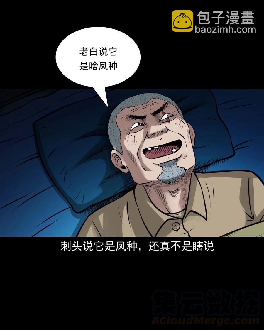 488 老烟鬼82(1/2)-第490话