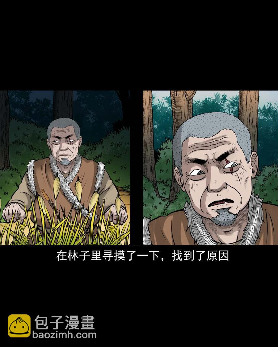 498 老烟鬼87(1/2)-第500话