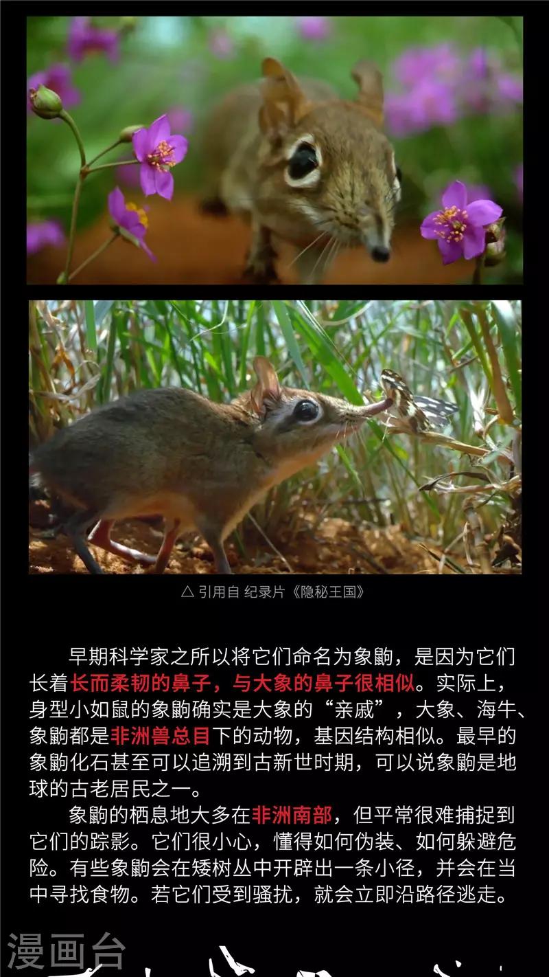 小剧场4 长鼻鼠的秘密-第54话