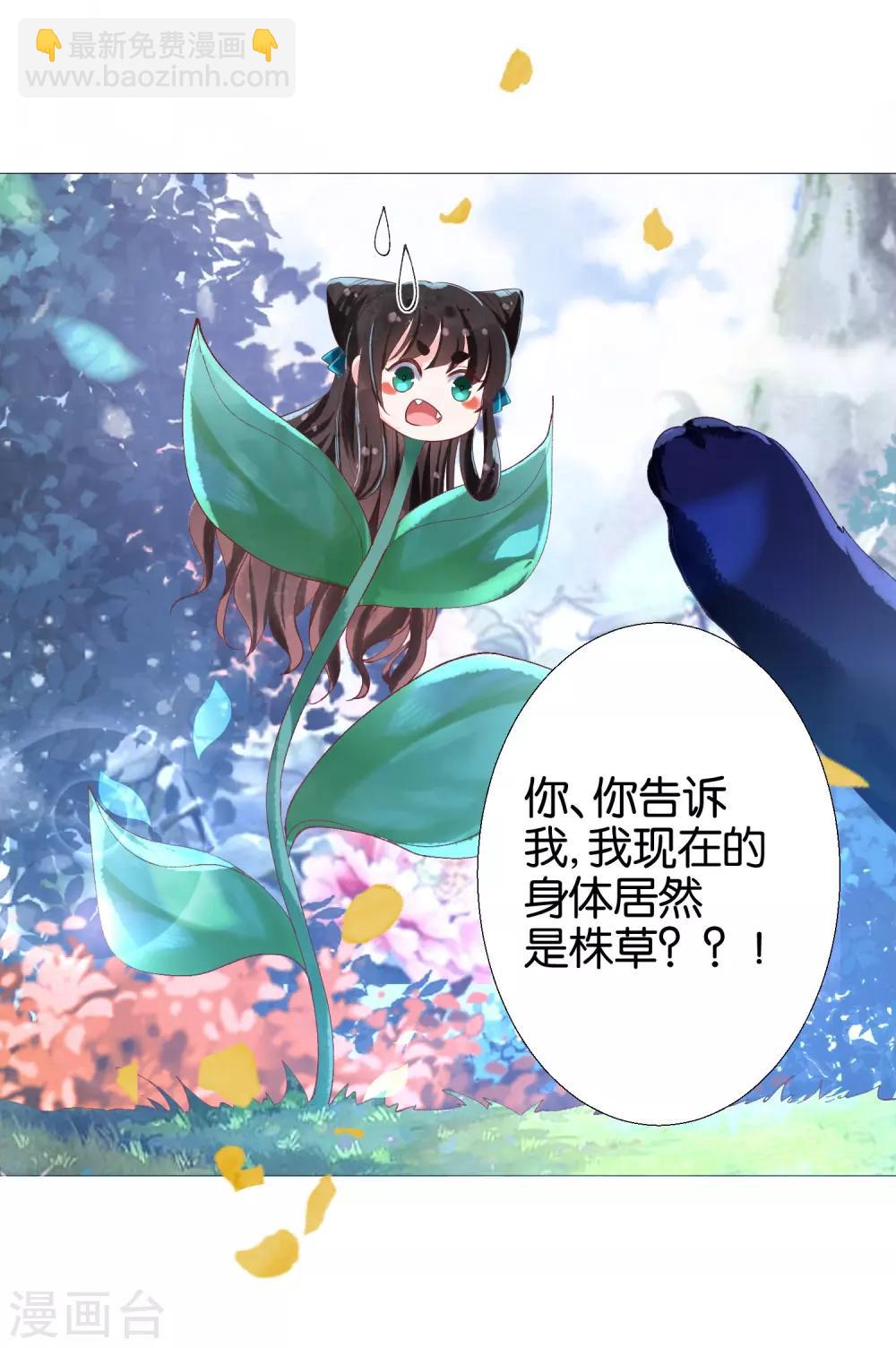 第11话 猫猫心里苦，但是不能说-第12话