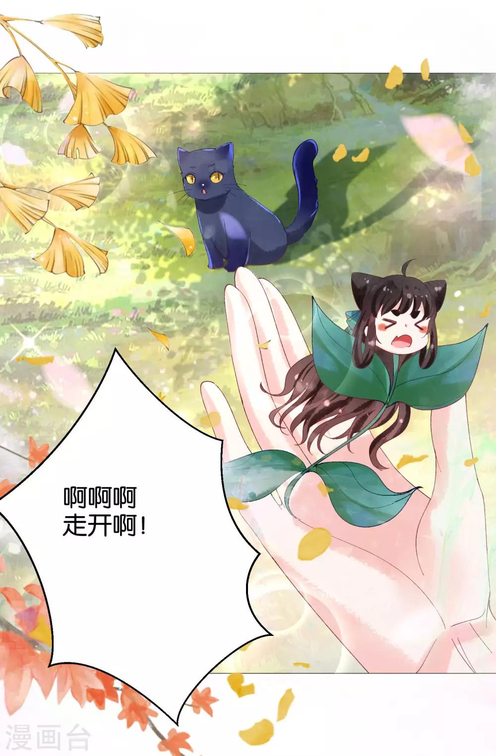 第11话 猫猫心里苦，但是不能说-第12话